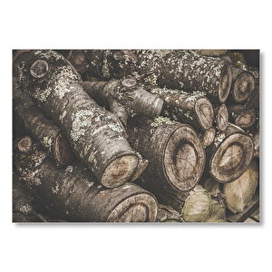 Üstüste Kütükler Mdf Ahşap Tablo 50x70 cm