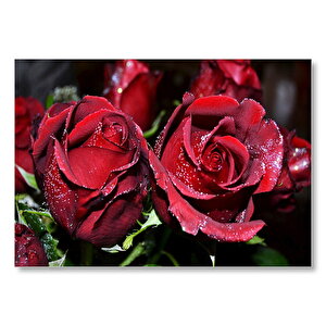 Kırmızı Güller Ve Çiy Damlaları Mdf Ahşap Tablo 25x35 cm