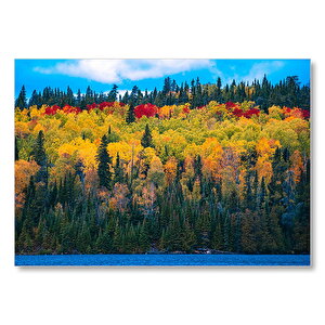 Sonbaharın Tüm Renkleri Mdf Ahşap Tablo 50x70 cm