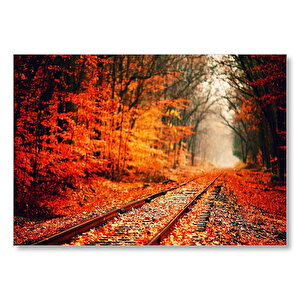 Tren Yolu Orman Bir Sonbahar Resmi Mdf Ahşap Tablo 35x50 cm