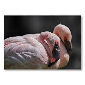 Uyuklayan Flamingolar Mdf Ahşap Tablo 50x70 cm
