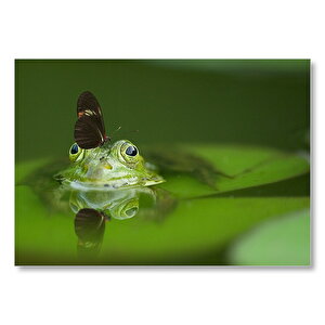 Göldeki Yeşil Kurbağa Ve Üzerindeki Kelebek Mdf Ahşap Tablo 35x50 cm
