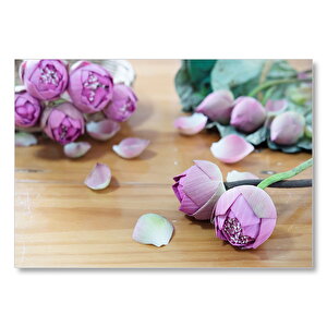 Masada Pembe Lotus Çiçeği Görseli Mdf Ahşap Tablo 35x50 cm
