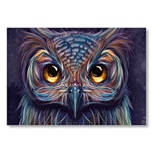 Baykuş Dijital Renkli Çizim Mdf Ahşap Tablo 50x70 cm