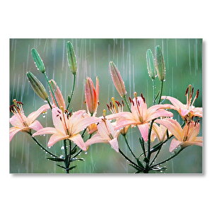 Yağmur Ve Zambak Yaprakları Mdf Ahşap Tablo 50x70 cm