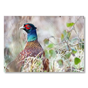 Çalılıklar Arasındaki Sülün Mdf Ahşap Tablo 25x35 cm