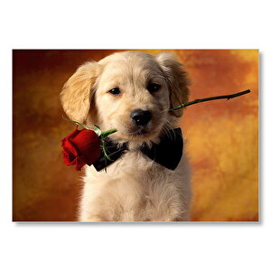 Ağzında Kırmızı Gül Puppy Cinsi Köpek Mdf Ahşap Tablo 25x35 cm
