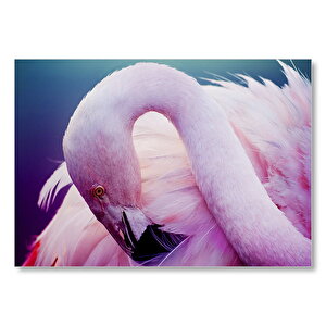 Pembe Flamingo Dinlenirken Görsel Mdf Ahşap Tablo 35x50 cm