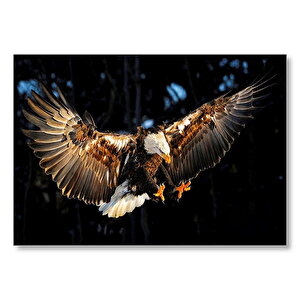 Avına Hücum Eden Kartal Görseli Mdf Ahşap Tablo 25x35 cm
