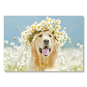 En İyi Köpek Ppatya Tacı Başınnda Mdf Ahşap Tablo 35x50 cm