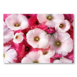 Pembeli Beyazlı Kapriz Çiçeği Görseli Mdf Ahşap Tablo 25x35 cm