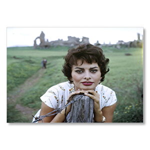 Sophia Loren Arka Planda Tarih Mdf Ahşap Tablo 35x50 cm