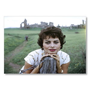 Sophia Loren Arka Planda Tarih Mdf Ahşap Tablo 50x70 cm