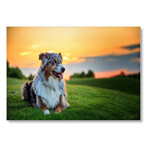 Doğa Günbatımı Lesi Cinsi Köpek Mdf Ahşap Tablo 50x70 cm