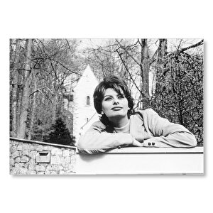 Sophia Loren Huzurlu Mdf Ahşap Tablo 25x35 cm