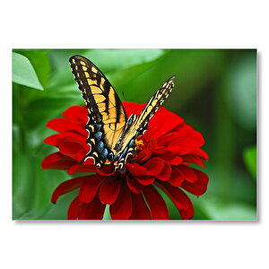 Kırmızı Çiçek Kelebek Mdf Ahşap Tablo 25x35 cm