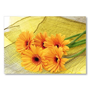 File Üzerinde Turuncu Papatya Demeti Görseli Mdf Ahşap Tablo 25x35 cm