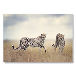 Ahşap Tablolar Çift Çitalar Mdf Ahşap Tablo 25x35 cm