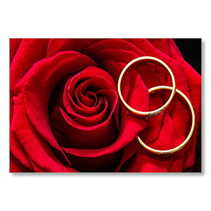 Yakın Plan Kırmızı Gül Ve Alyanslar Mdf Ahşap Tablo 35x50 cm