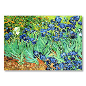 Vincent Van Gogh İrislerim Resim Mdf Ahşap Tablo 50x70 cm