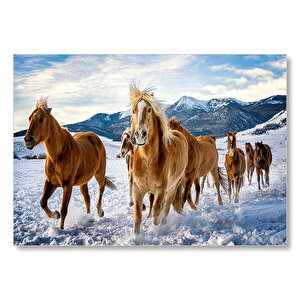 Karda Koşan Atlar Görseli Mdf Ahşap Tablo 50x70 cm
