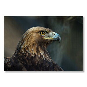 Kahverengi Kartal Mavi Gagalı Mdf Ahşap Tablo 50x70 cm