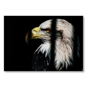 Kafes Demirleri Arasından İhtiyar Kartal Mdf Ahşap Tablo 50x70 cm