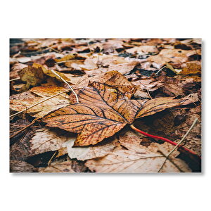 Yerde Sararmış Yapraklar Mdf Ahşap Tablo 50x70 cm