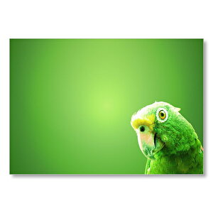 Yeşil Papağan Yeşil Fon Mdf Ahşap Tablo 25x35 cm