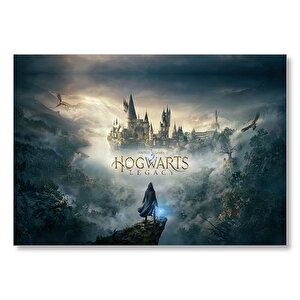 2021 Harry Potter Oyunu Görseli Mdf Ahşap Tablo 50x70 cm