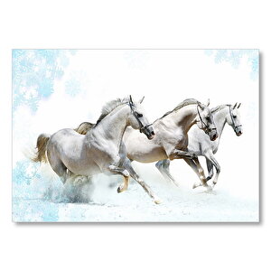 Koşan Beyaz Üç Beyaz Atlar Mdf Ahşap Tablo 50x70 cm