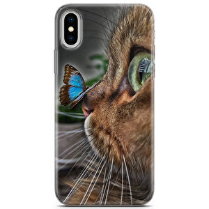 Apple Iphone Xs Uyumlu Kılıf Scotish British 12 Case Munchkin Kelebek