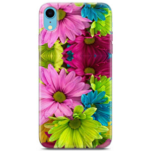 Apple Iphone Xr Uyumlu Kılıf Mista Renkli Çiçekler Armor