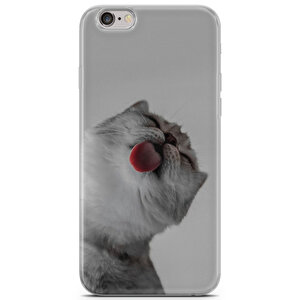 Apple Iphone 6 6s Uyumlu Kılıf Scotish British 07 Telefon Kabı British Shorthair