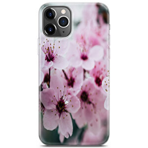 Apple Iphone 11 Pro Max Uyumlu Kılıf Mista Mixed Flowers Hd
