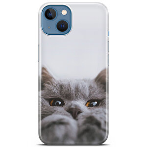 Apple Iphone 13 Uyumlu Kılıf Scotish British 08 Baskılı Sevimli Kedi