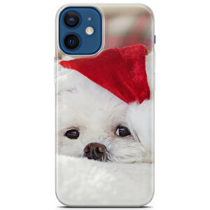 Apple Iphone 12 Mini Uyumlu Kılıf Maltese 23 Cover Noel Şapka
