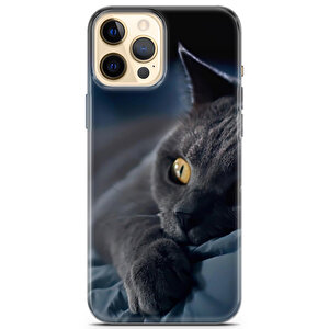 Apple Iphone 12 Pro Uyumlu Kılıf Scotish British 20 Tasarımlı Yatan Kedi