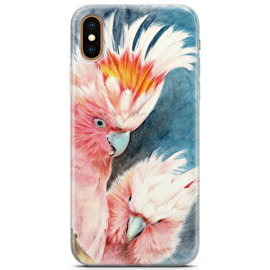 Apple Iphone Xs Max Uyumlu Kılıf Indian-33 Cover Papağan