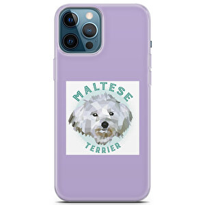 Apple Iphone 12 Pro Max Uyumlu Kılıf Maltese 10 Kap Terrier