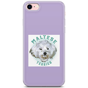 Apple Iphone 8 Uyumlu Kılıf Maltese 10 Soft Silikon Terrier