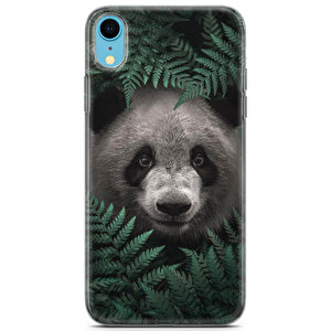 Apple Iphone Xr Uyumlu Kılıf Panda 30 Full Hd
