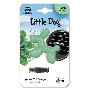 Little Dog Araba Kokusu Fresh Mint (taze Nane)