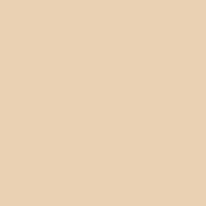 Thermal Paint - 18 Kg- Vanilya30