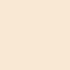 Thermal Paint - 18 Kg- Vanilya10