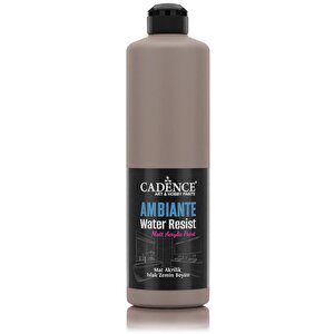 Ambiente Islak Zemi̇n Boyasi Aw-17 Vi̇zon 500ml + Katali̇zör 20gr