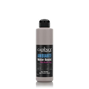 Ambiente Islak Zemi̇n Boyasi Aw-19 Vi̇zon Gri̇ 250ml + Katali̇zör 10gr