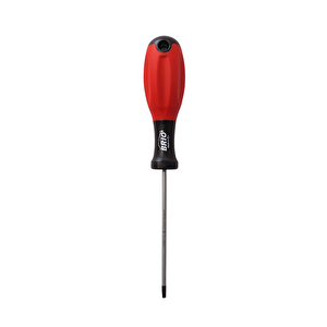 Tornavida Torx T10