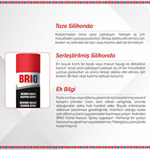 Silikon Conta Kazıyıcı Sprey 400 Ml