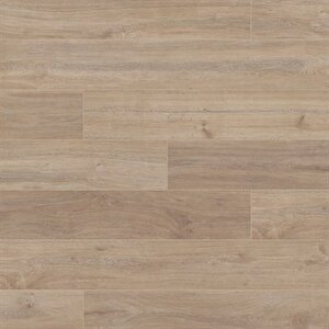 Modera Sarı Kavak 8 Mm Derzli Laminat Parke Vtlp.5966